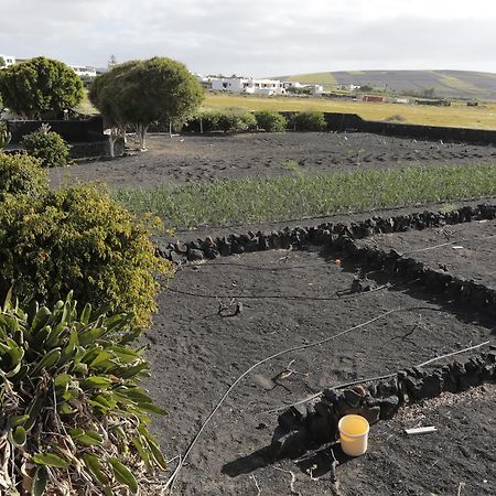 Finca La Rubina Mozaga エクステリア 写真