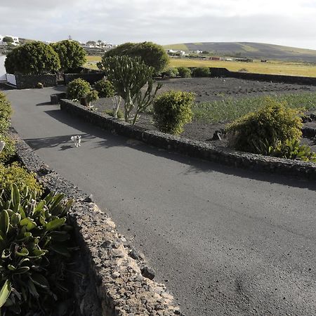 Finca La Rubina Mozaga エクステリア 写真