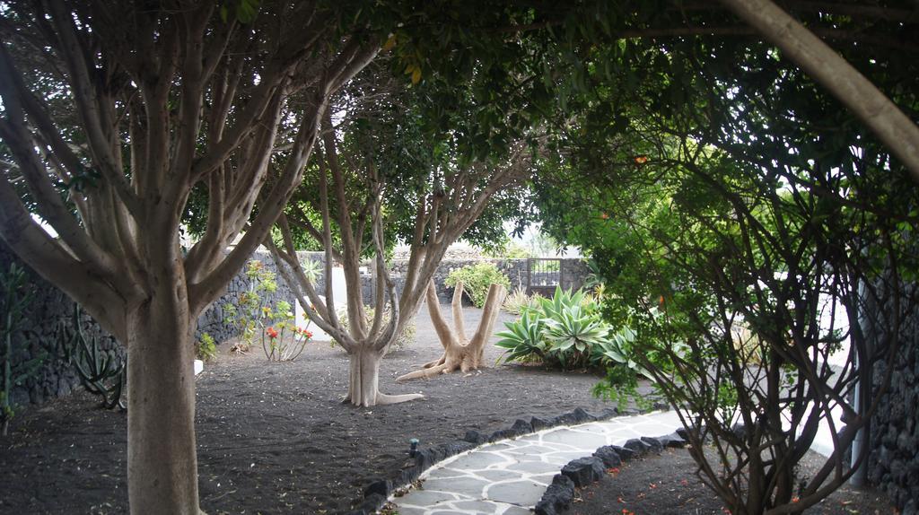 Finca La Rubina Mozaga エクステリア 写真