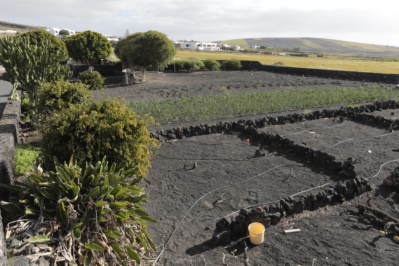 Finca La Rubina Mozaga エクステリア 写真