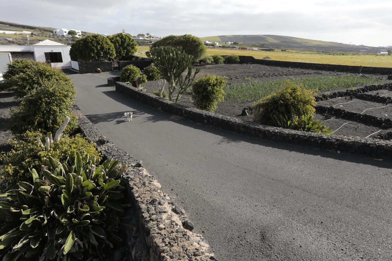 Finca La Rubina Mozaga エクステリア 写真